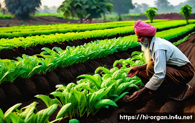 유기농업 연봉 상승을 위한 전략 - A vibrant organic farm scene in rural India during early morning light, featuring a farmer selecting...